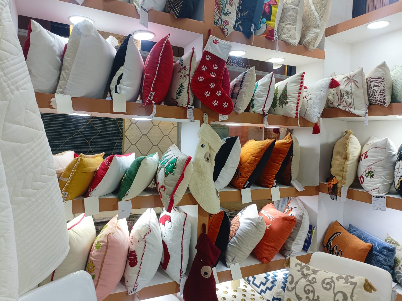 WhatsApp Image 2026-02-26 at 11.23.37 AM (1)