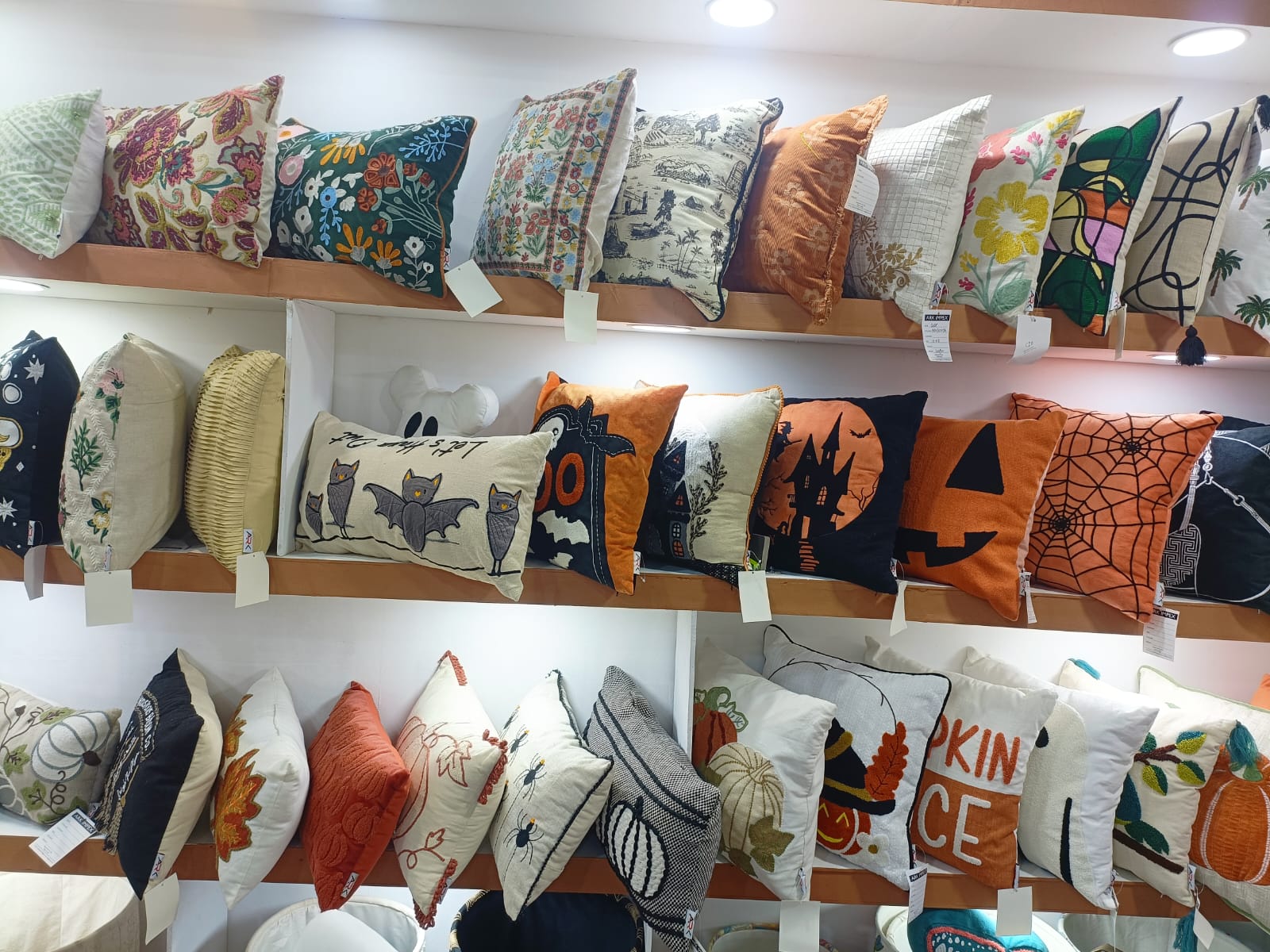 WhatsApp Image 2026-02-26 at 11.23.37 AM